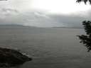 ./images/koeye/fitz-hugh/20200822/fitz-hugh20200822_081002.jpg