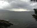 ./images/koeye/fitz-hugh/20200822/fitz-hugh20200822_083502.jpg