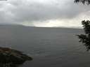 ./images/koeye/fitz-hugh/20200822/fitz-hugh20200822_084502.jpg