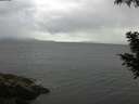 ./images/koeye/fitz-hugh/20200822/fitz-hugh20200822_085002.jpg