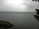 ./images/koeye/fitz-hugh/20200822/fitz-hugh20200822_085501.jpg