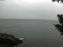 ./images/koeye/fitz-hugh/20200822/fitz-hugh20200822_090501.jpg