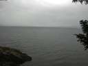 ./images/koeye/fitz-hugh/20200822/fitz-hugh20200822_091001.jpg