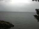 ./images/koeye/fitz-hugh/20200822/fitz-hugh20200822_091501.jpg