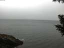 ./images/koeye/fitz-hugh/20200822/fitz-hugh20200822_092501.jpg