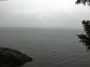 ./images/koeye/fitz-hugh/20200822/fitz-hugh20200822_094001.jpg