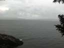 ./images/koeye/fitz-hugh/20200822/fitz-hugh20200822_094501.jpg