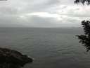 ./images/koeye/fitz-hugh/20200822/fitz-hugh20200822_100501.jpg