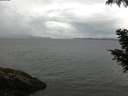 ./images/koeye/fitz-hugh/20200822/fitz-hugh20200822_101501.jpg