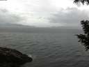 ./images/koeye/fitz-hugh/20200822/fitz-hugh20200822_104001.jpg