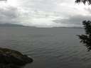 ./images/koeye/fitz-hugh/20200822/fitz-hugh20200822_104501.jpg