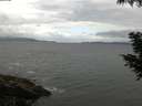 ./images/koeye/fitz-hugh/20200822/fitz-hugh20200822_110502.jpg