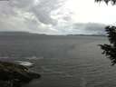 ./images/koeye/fitz-hugh/20200822/fitz-hugh20200822_114002.jpg