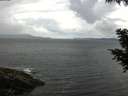 ./images/koeye/fitz-hugh/20200822/fitz-hugh20200822_114502.jpg