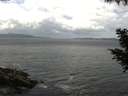./images/koeye/fitz-hugh/20200822/fitz-hugh20200822_121501.jpg