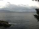 ./images/koeye/fitz-hugh/20200822/fitz-hugh20200822_122001.jpg