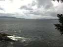./images/koeye/fitz-hugh/20200822/fitz-hugh20200822_124501.jpg