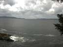./images/koeye/fitz-hugh/20200822/fitz-hugh20200822_125501.jpg
