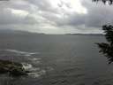./images/koeye/fitz-hugh/20200822/fitz-hugh20200822_131001.jpg
