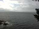 ./images/koeye/fitz-hugh/20200822/fitz-hugh20200822_134001.jpg