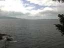 ./images/koeye/fitz-hugh/20200822/fitz-hugh20200822_134501.jpg
