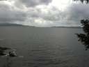 ./images/koeye/fitz-hugh/20200822/fitz-hugh20200822_135502.jpg