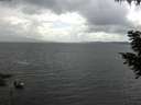 ./images/koeye/fitz-hugh/20200822/fitz-hugh20200822_140502.jpg