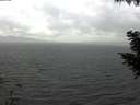 ./images/koeye/fitz-hugh/20200822/fitz-hugh20200822_143502.jpg
