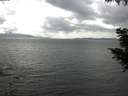 ./images/koeye/fitz-hugh/20200822/fitz-hugh20200822_144502.jpg
