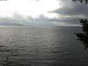 ./images/koeye/fitz-hugh/20200822/fitz-hugh20200822_150501.jpg