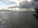 ./images/koeye/fitz-hugh/20200822/fitz-hugh20200822_155501.jpg