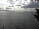./images/koeye/fitz-hugh/20200822/fitz-hugh20200822_160501.jpg