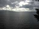./images/koeye/fitz-hugh/20200822/fitz-hugh20200822_161501.jpg