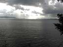 ./images/koeye/fitz-hugh/20200822/fitz-hugh20200822_162501.jpg
