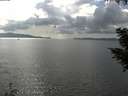 ./images/koeye/fitz-hugh/20200822/fitz-hugh20200822_163501.jpg