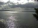./images/koeye/fitz-hugh/20200822/fitz-hugh20200822_164001.jpg