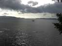 ./images/koeye/fitz-hugh/20200822/fitz-hugh20200822_164501.jpg