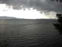 ./images/koeye/fitz-hugh/20200822/fitz-hugh20200822_165502.jpg