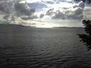./images/koeye/fitz-hugh/20200822/fitz-hugh20200822_171002.jpg