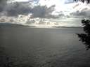 ./images/koeye/fitz-hugh/20200822/fitz-hugh20200822_171501.jpg
