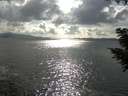 ./images/koeye/fitz-hugh/20200822/fitz-hugh20200822_172002.jpg