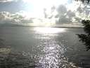 ./images/koeye/fitz-hugh/20200822/fitz-hugh20200822_173502.jpg