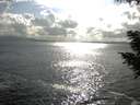 ./images/koeye/fitz-hugh/20200822/fitz-hugh20200822_174002.jpg