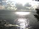 ./images/koeye/fitz-hugh/20200822/fitz-hugh20200822_174502.jpg