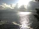 ./images/koeye/fitz-hugh/20200822/fitz-hugh20200822_175502.jpg