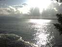 ./images/koeye/fitz-hugh/20200822/fitz-hugh20200822_180002.jpg