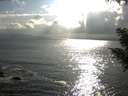 ./images/koeye/fitz-hugh/20200822/fitz-hugh20200822_180501.jpg
