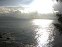 ./images/koeye/fitz-hugh/20200822/fitz-hugh20200822_181001.jpg