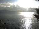 ./images/koeye/fitz-hugh/20200822/fitz-hugh20200822_181501.jpg