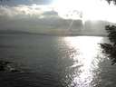 ./images/koeye/fitz-hugh/20200822/fitz-hugh20200822_182001.jpg